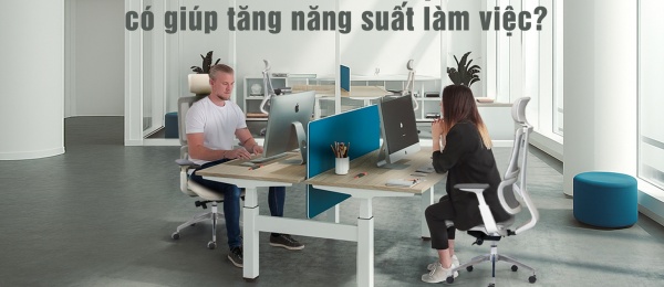 Ghế Công Thái Học Có Thật Sự Giúp Tăng Năng Suất Làm Việc?
